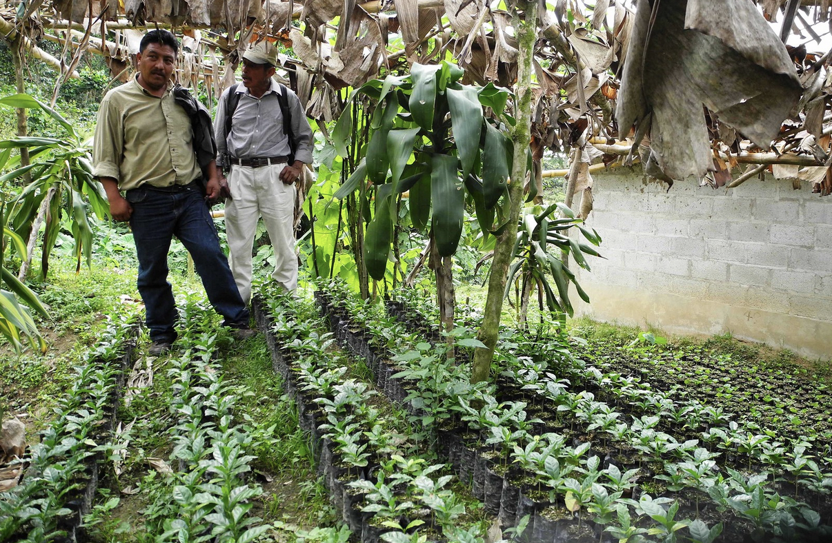 apecaform-farmers.png