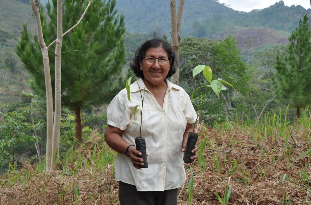 Esperanza Dionisio Castillo with coffee seedlings